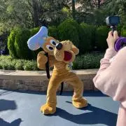 プルートの画像