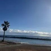 MGMSの画像