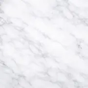 sakuの画像