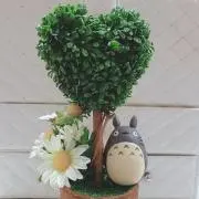 hana