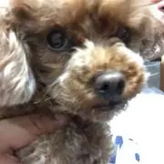 たけちゃん