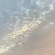 とこなつみの画像
