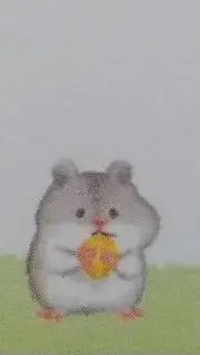 Ponの画像