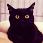 はす