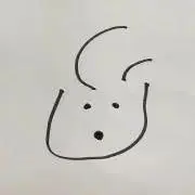 サモエド