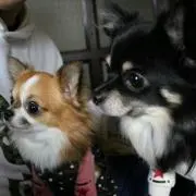なおとみ