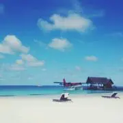 syuの画像