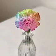 春花の画像