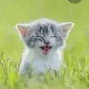 coco★フォローでお値引き♪の画像