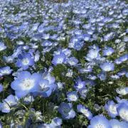 ao_ao.の画像