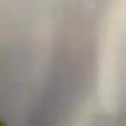 お猿さん