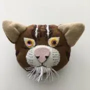 Kotetuの画像