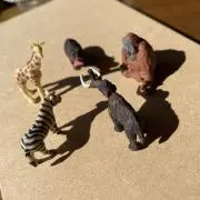 ねぎの画像