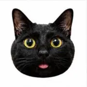 あくんの画像