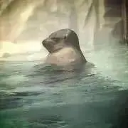 ミズキ4128の画像