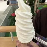 静の画像