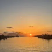 おおたわの画像