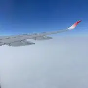 satsukingの画像