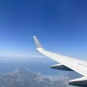 ポン太の画像