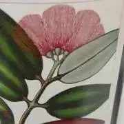 いとの画像