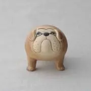 nnの画像