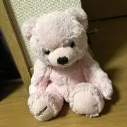 yasuの画像
