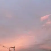 とまとの画像