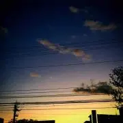 キャリコの画像
