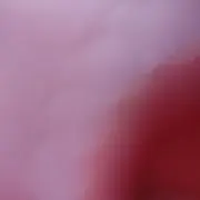 くりた