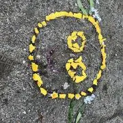 カヨの画像