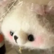 ゆゆの画像