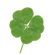 ホシ⭐︎値下げ依頼受け付けます！の画像