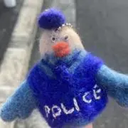 birdの画像