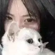 jeonlの画像