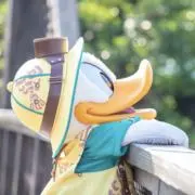 Yの画像