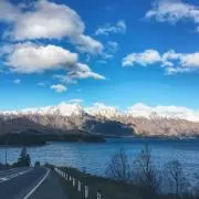 Travelerの画像