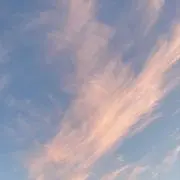 Niksonんの画像