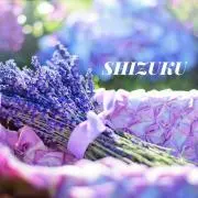 紫透