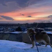 ぬーぬの画像