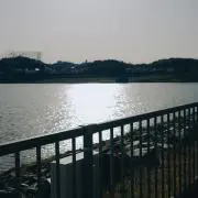 【お値下げ交渉OK】断捨離ん子の画像