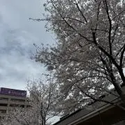 いいいちゃんーの画像