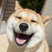 Yuichiの画像