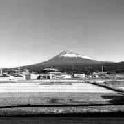 ameの画像