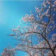 きょーりゅーの画像