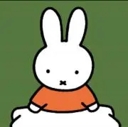 yの画像