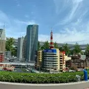 前世ねこの画像