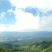 メリーの画像