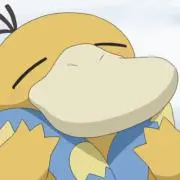 コダックの画像