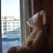y♡の画像