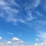 Sandoresの画像